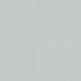 Egger F765 ST20 Серебристый матовый