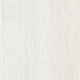 Ива белая DW-088