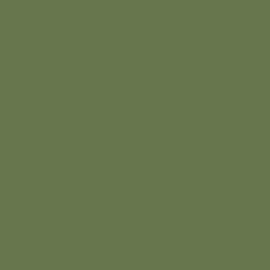 Папоротниковый зеленый RAL 6025